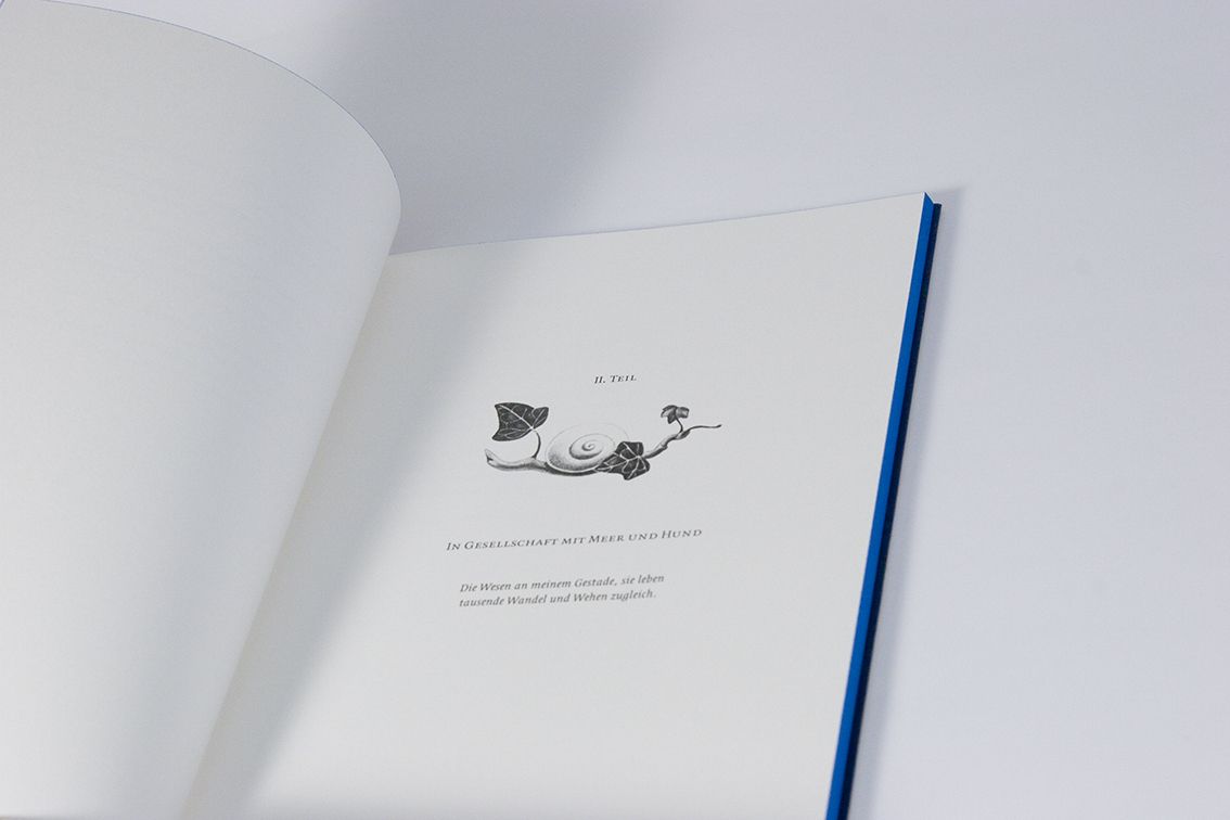  Gedichtsammlung Aquarien, Veröffentlichungen, Lyrik